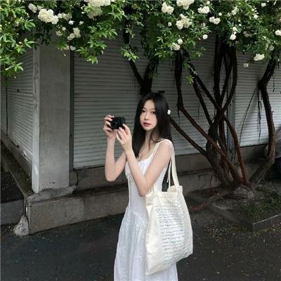 神探忠犬
